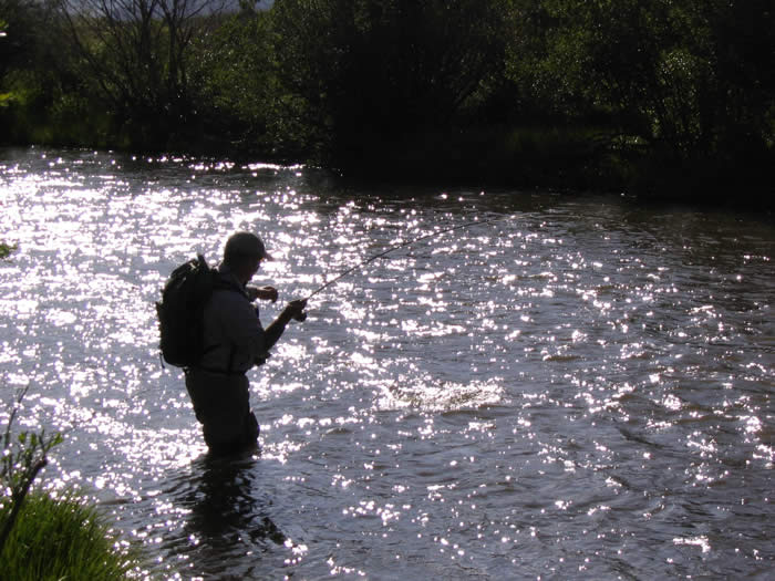 Fishing the Upper Colorado