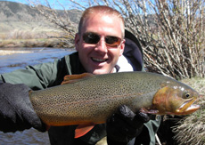 Yellowstone Cutthroat Trout