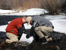 Sweetwater Macroinvertebrate Sampling