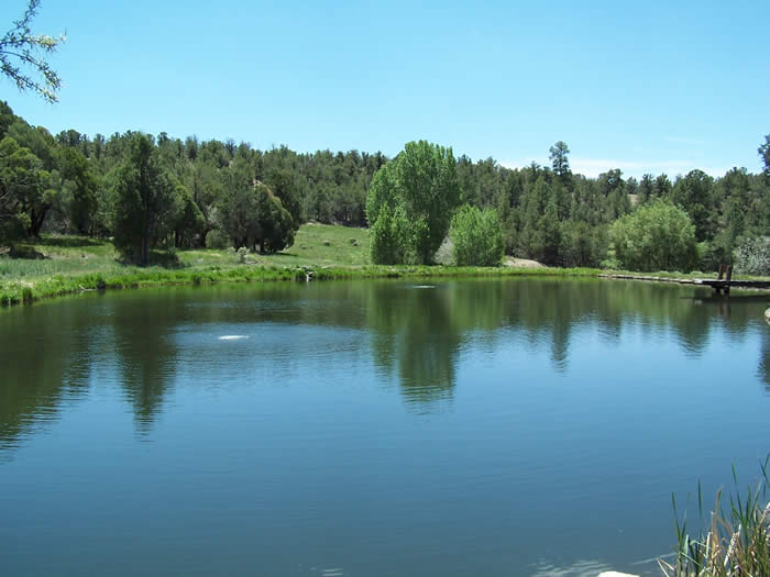 Fisheries Development and Management - Montrose County, Colorado