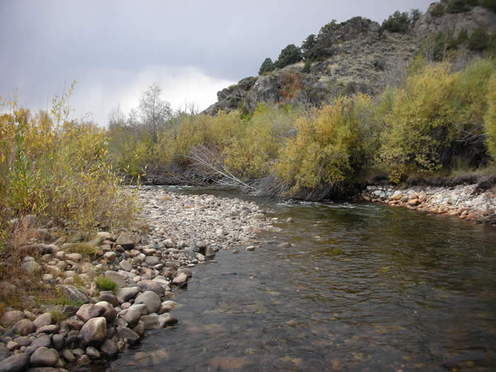 Fisheries Restoration - Larimer County, Colorado