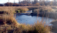 Gunnison County