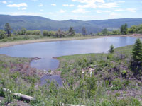 Fisheries Development - Archuleta County, Colorado