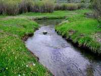 Fisheries Restoration - Jackson County, Colorado