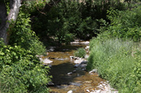 Critical Habitat Restoration and Amenity Development - Garfield County, Colorado