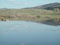 Fisheries Development and Management - Larimer County, Colorado