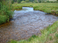 Brown Trout Fishery Rejuvenation - Jefferson County, Colorado